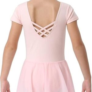 Danswan Pink Short Sleeve Leotard
